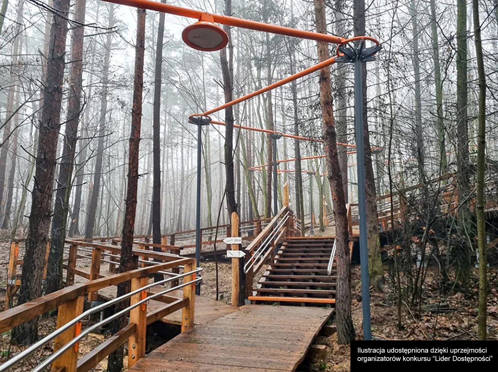 Park Leśny na Oksywiu w Gdyni Liderem Dostępności 2024